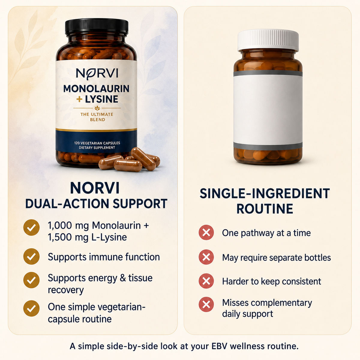Monolaurin + Lysine Natural Epstein-Barr Support