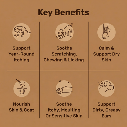 Norvi Itch Relief Treats