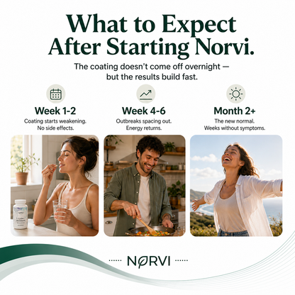 Lysine + Monolaurin Natural Herpes Support